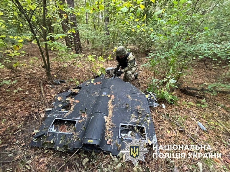 У лісосмузі Дарницького району Києва виявили уламки російського БпЛА з нездетонованою бойовою частиною - фото