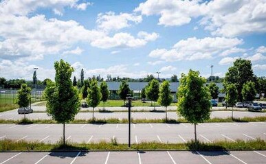 Во Львове утвердили стандарт озеленения парковок: 1 дерево на 5 автомобилей
