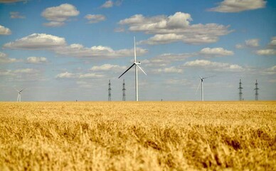 На Полтавщині планують збудувати вітрову електростанцію за 1,2 млрд євро