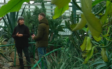 В ботсаду Киева зафиксировали критическое понижение температуры в оранжереях