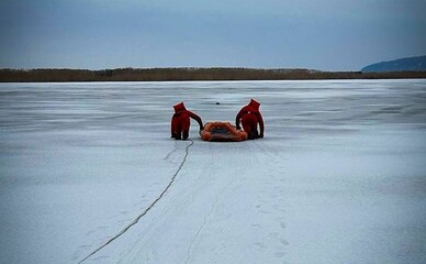 В Киевской области спасатели вытащили собаку из ледяной воды Днепра