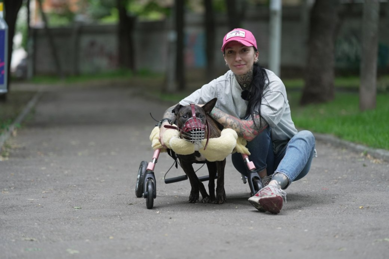 В Днепре собаку с болезнью мозга лечат стволовыми клетками