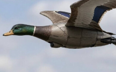 В Украине показали Peace Duck и мини-ПВО против FPV и «Орланов»